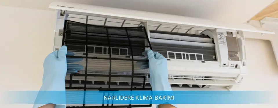 Narlıdere İlçemi Profilo Klima Bakımı
